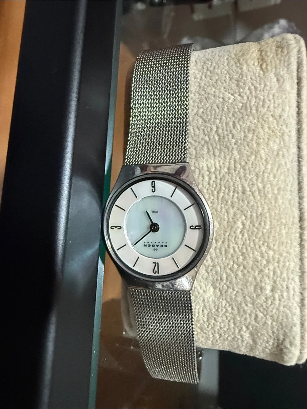 Skagen Silver Mesh Watch with Mother-of-Pearl Dial